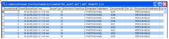 AccuImporter_Audit